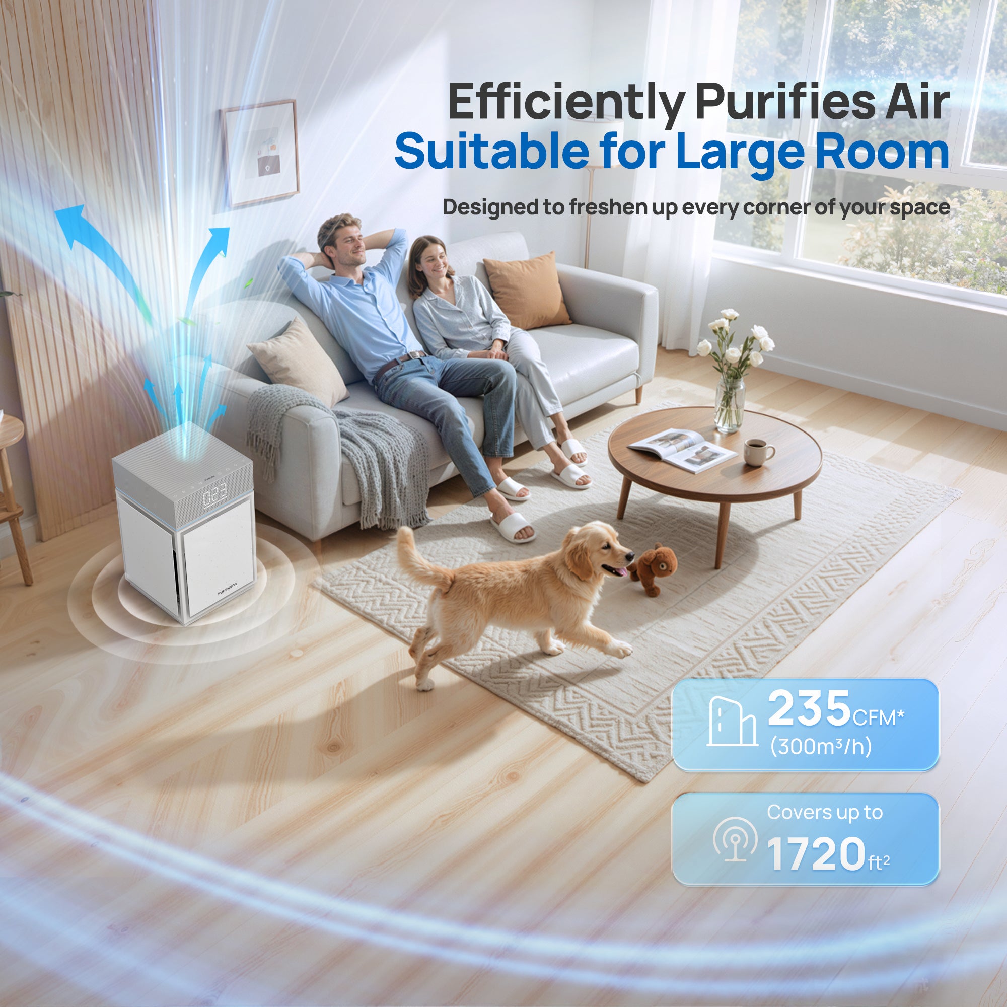 Pureborne 6866 Smart Air Purifier